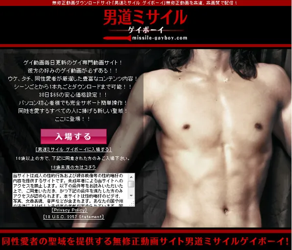 『男道ミサイルゲイボーイ』の画像