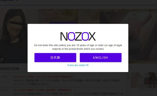 『NOZOX』の画像