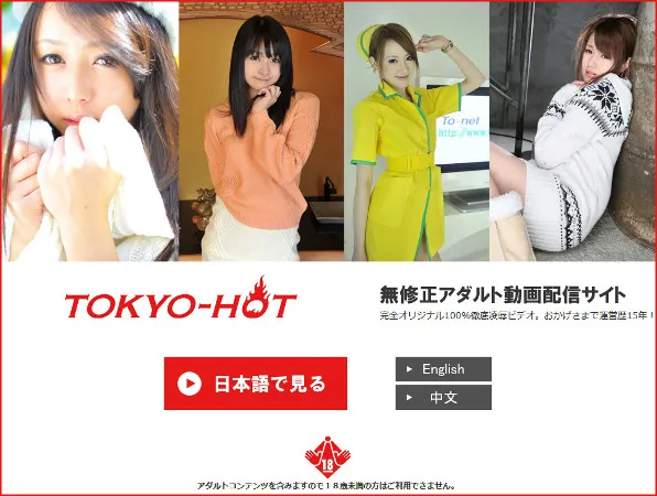 『TOKYO-HOT』の画像