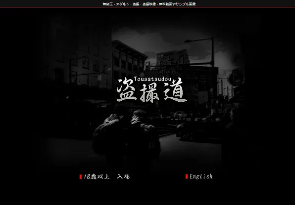 『盗撮道』の画像