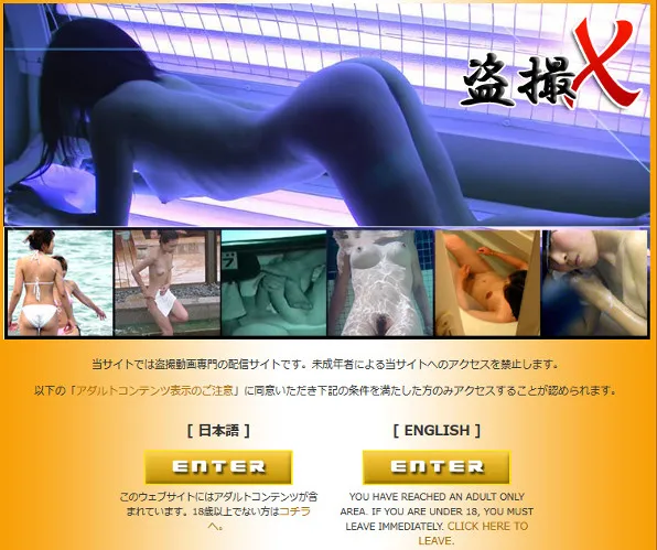 『盗撮エックス』の画像