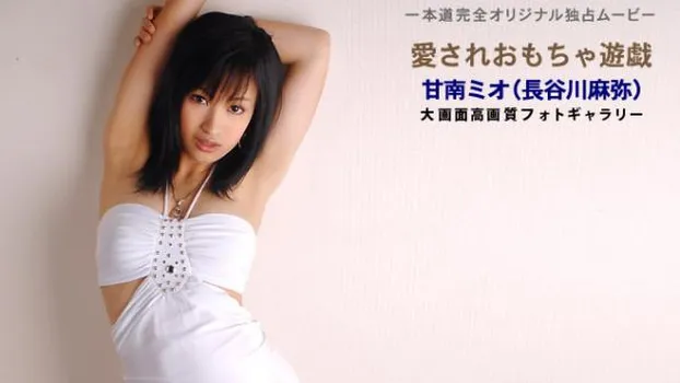 愛されおもちゃ遊戯