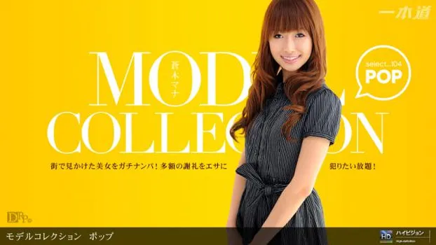 Model Collection select...104 ポップ