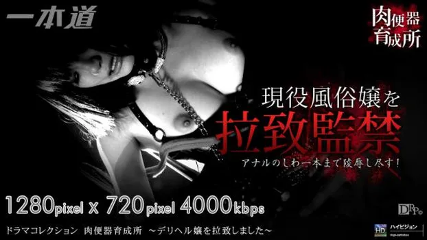 肉便器育成所 〜デリヘル嬢を拉致しました〜