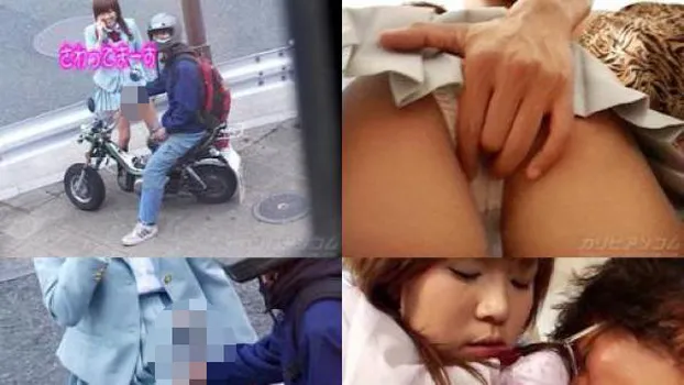 みかんと遊ぼう