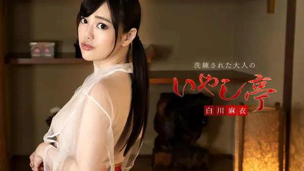 洗練された大人のいやし亭 〜たっぷりのおしゃぶりと大絶叫中出し〜