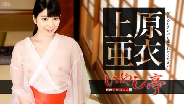 洗練された大人のいやし亭 〜身も心もチンポも癒されてください〜