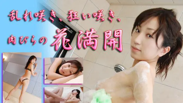 はるか -女体解析24-