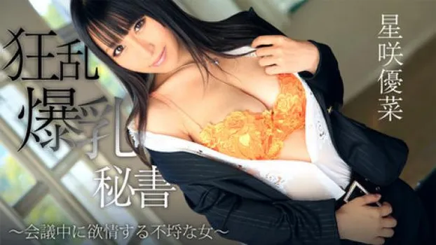 星咲優菜 狂乱爆乳秘書～会議中に欲情する不埒な女～