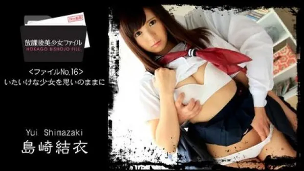 放課後美少女ファイル No.16～いたいけな少女を思いのままに～