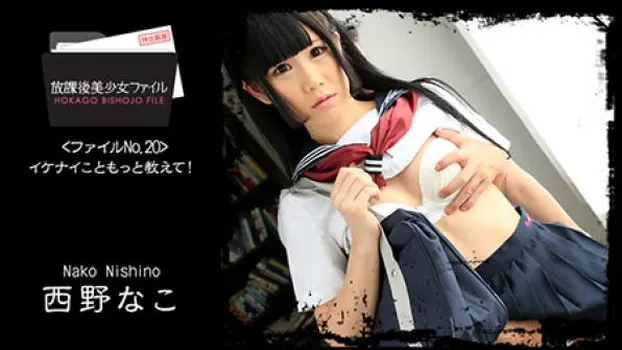 放課後美少女ファイル No.20～イケナイこともっと教えて!～