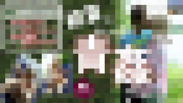 初夏はやっぱり青姦デート〜あんなことやこんなことも、外だと数倍気持ち  いい