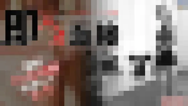 面接に来た子をやっちゃいました！　THE INTERVIEW 即ハメ面接