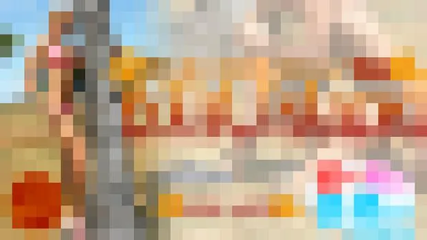 南の島の性事情はワイルド青姦 Wild Island -夏だ！女だ！青姦だ！-