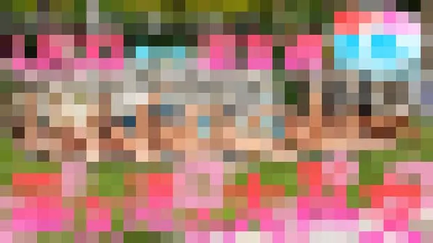 総勢9人の淫女達の極エロ大乱交パーティー -夏だ！女だ！青姦だ！-