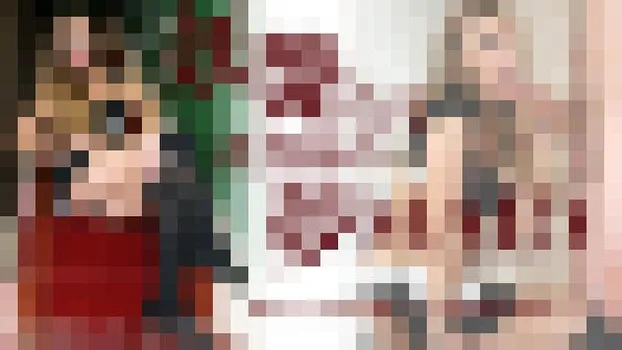 妖艶なる我が家の夢MAID