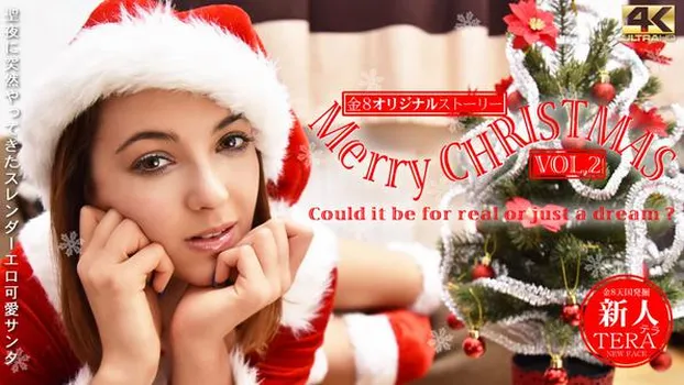聖夜に突然やってきたスレンダーエロ可愛サンタ Merry Christmas Vol2 Tera