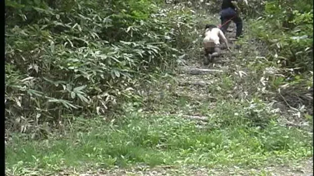 人物不明｜志摩紫光伝説177 尿道カテーテル責め伝説3