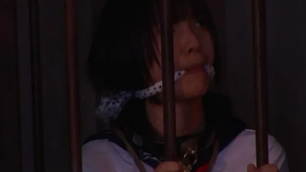 バロン辻村 vol.24 凌辱SM 極悪レイプ 千歳ゆき