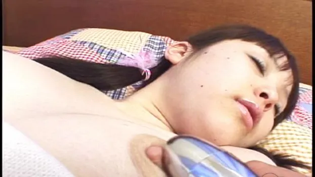 懐かしの名作集 〜AV黄金期の大いなる遺産〜0133