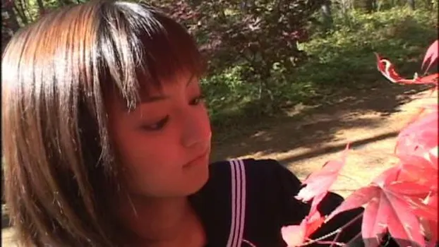 Sweet フェアリーズ High School Ver.9