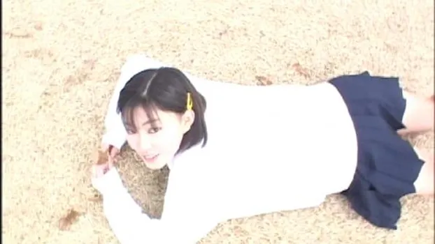 Sweet フェアリーズ High School Ver.10