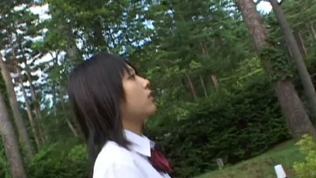 Sweet フェアリーズ High School Ver.5