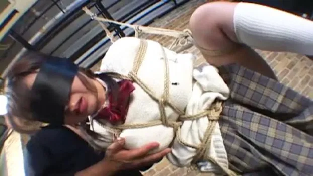 人物不明｜制服美少女調教図鑑 3162