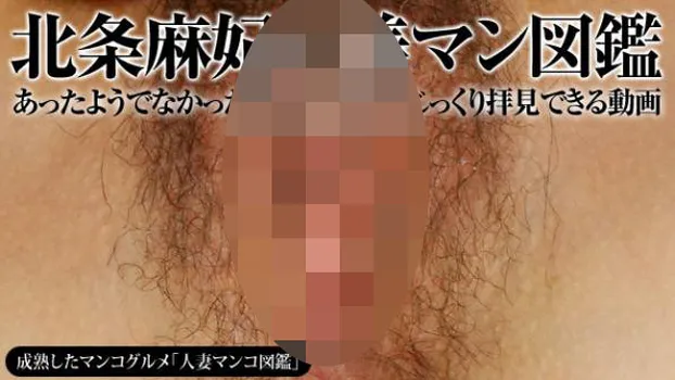 人妻マンコ図鑑 33