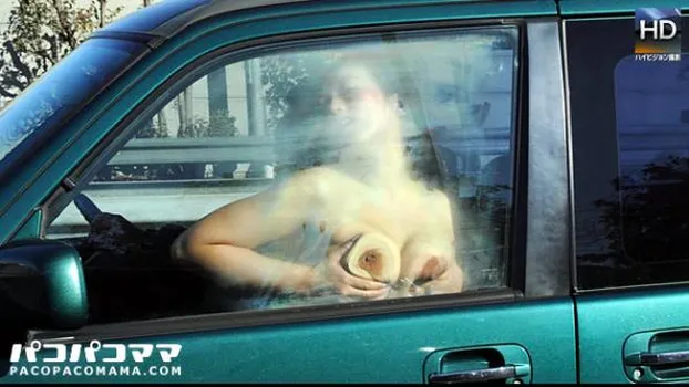 野外姦旅行 〜巨乳を晒して感じる変態妻〜