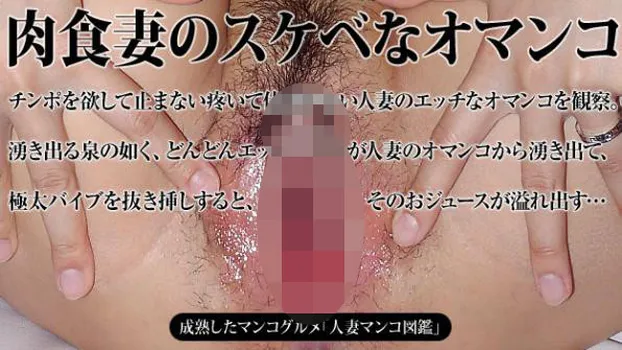 人妻マンコ図鑑 28