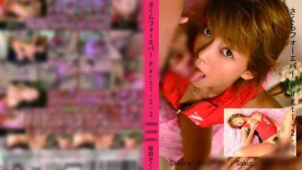 桜田さくら｜さくらフォーエバー Part1