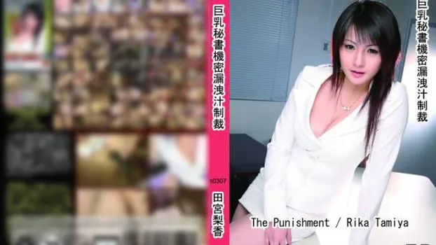 巨乳秘書機密漏洩汁制裁