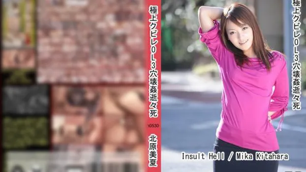 極上クビレOL3穴壊姦逝々死