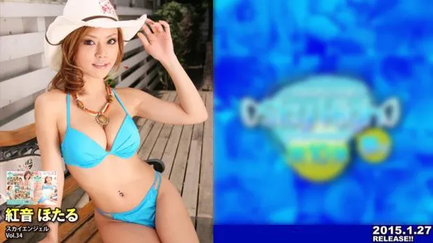 スカイエンジェル Vol. 34