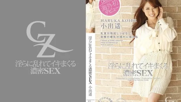 淫らに乱れてイキまくる濃密SEX