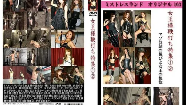 人物不明｜女王様鞭打ち特集1・2(特集作品)