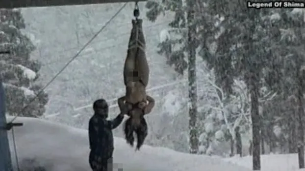 志摩紫光極私的映像集完全版 第36章