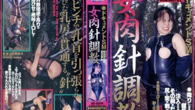 ドキュメントSM 女肉針奴隷