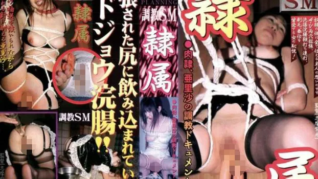 調教SM 隷属