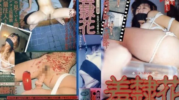 人物不明｜志摩伝説 「プライベート調教 羞隷花 」